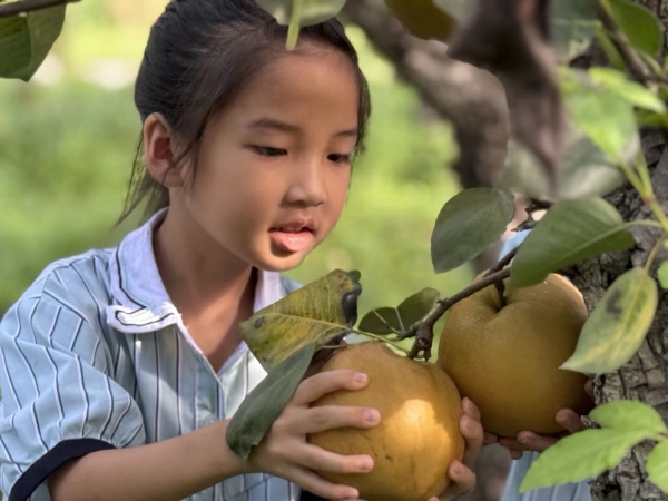 a6b382f3707948e2b53c7a71847b95c0.jpg a6b382f3707948e2b53c7a71847b95c0.jpg