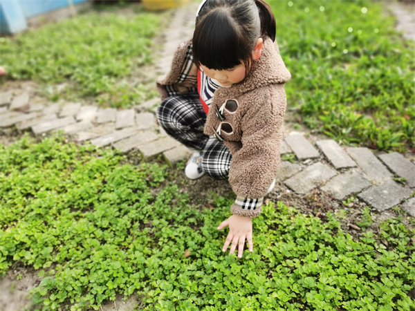 faa8a62d560344f4b9054b6686eb4433.jpeg