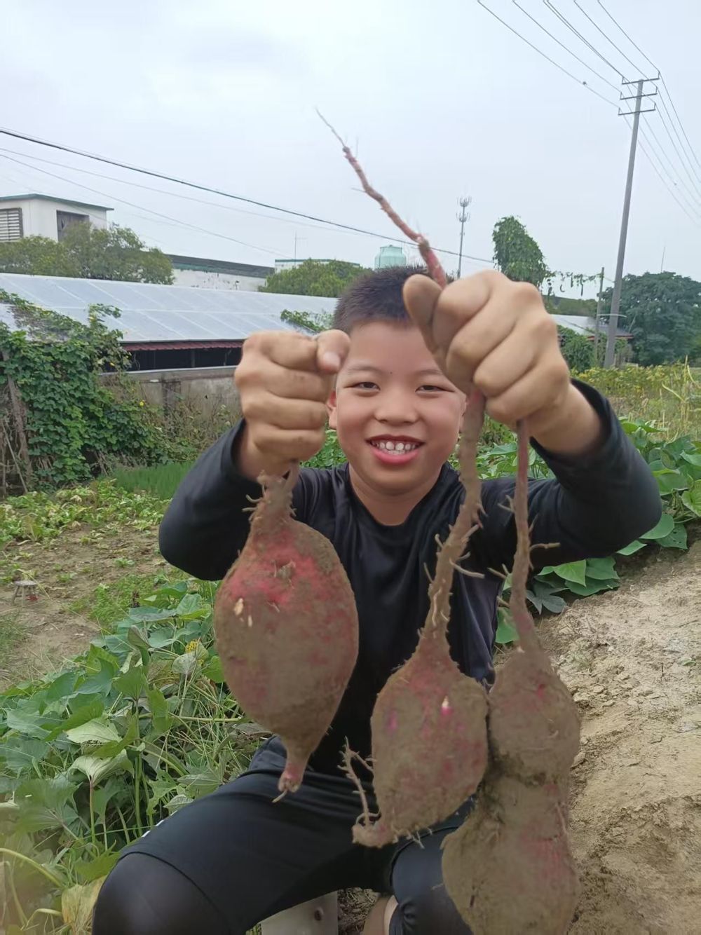 04351852188d4895a6b1ad4eb4e98664.jpg 04351852188d4895a6b1ad4eb4e98664.jpg