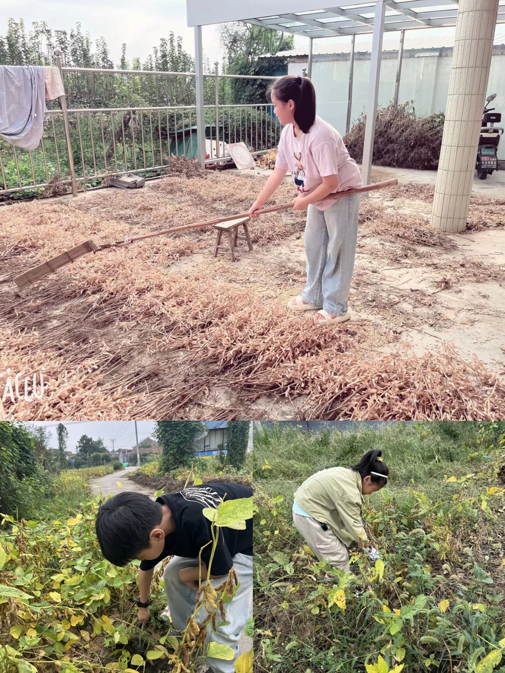 70ab7ced98cb4fcf9358b369a44cafbb.jpg 70ab7ced98cb4fcf9358b369a44cafbb.jpg