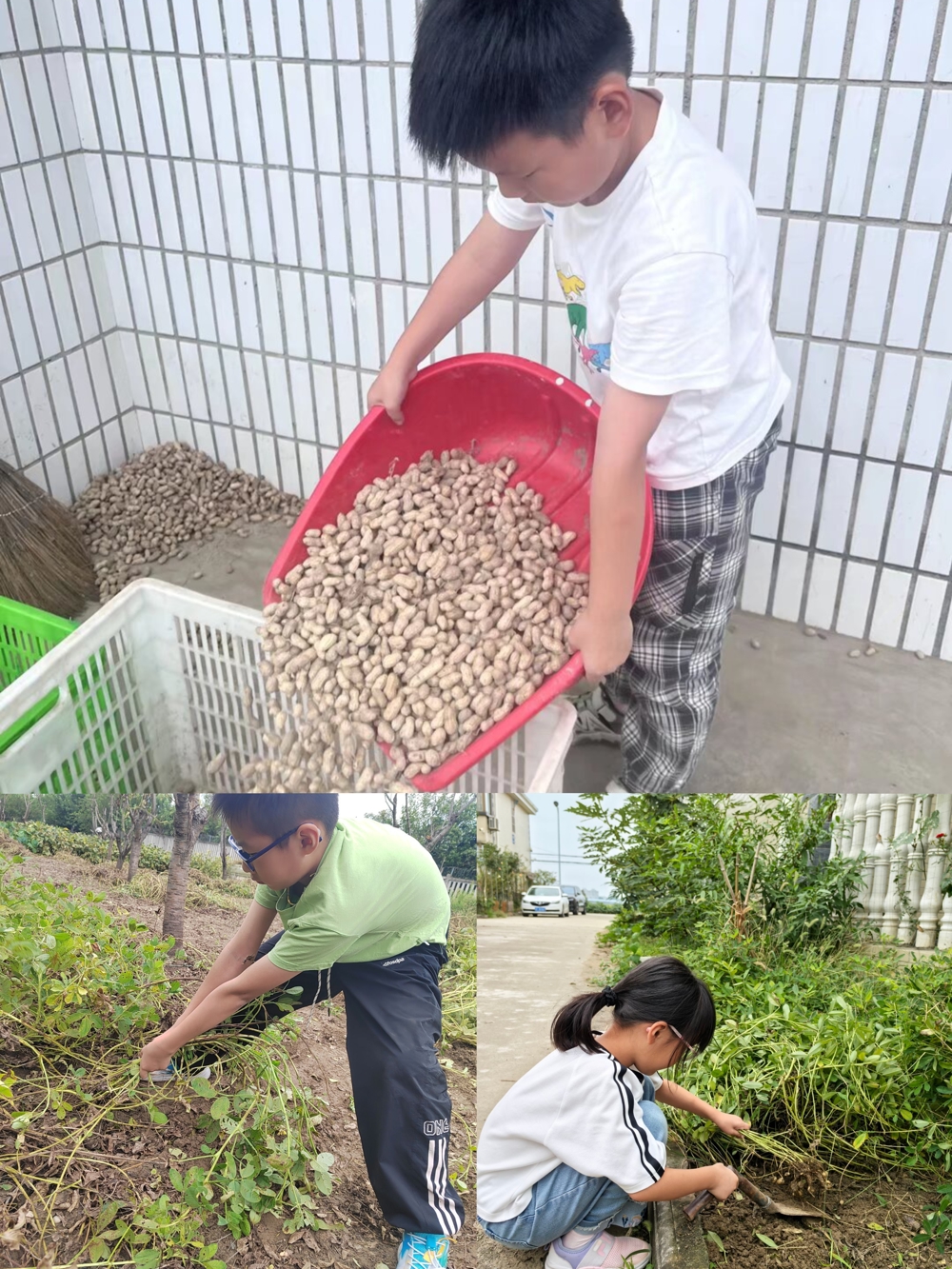 bbb8fdf5ecc54f95ab3374158c83bfd4.jpg bbb8fdf5ecc54f95ab3374158c83bfd4.jpg