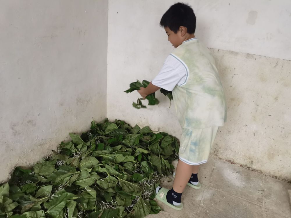 f79cbc44ec93400eaf446139c344ebf0.jpg f79cbc44ec93400eaf446139c344ebf0.jpg