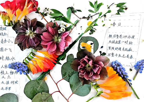 8f7551e22a144a82a71f5fb083cb5b3b.jpg